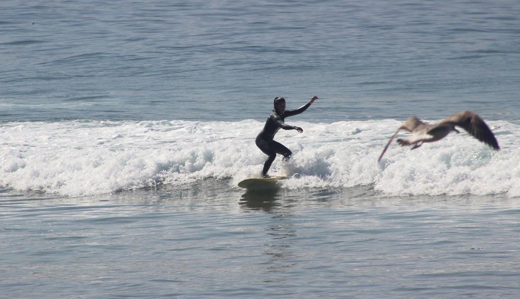 Aloha Surf Camp Maroc Otel Tamraght Dış mekan fotoğraf